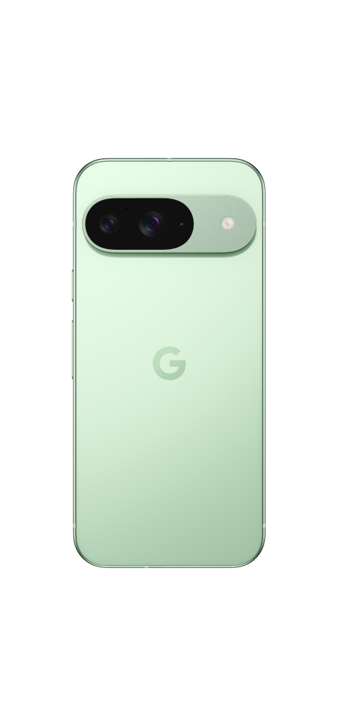 Pixel 9 in Porcelain, Front view